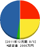 桜組 貸借対照表 2011年12月期 桜組 貸借対照表 2011年12月期