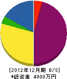 ケィアンドケィ 貸借対照表 2012年12月期 ケィアンドケィ 貸借対照表 2012年12月期