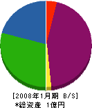 カナイ 貸借対照表 2008年1月期 カナイ 貸借対照表 2008年1月期