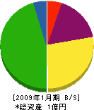 大一装美 貸借対照表 2009年1月期 大一装美 貸借対照表 2009年1月期