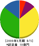 日本衛生工事 貸借対照表 2008年6月期 日本衛生工事 貸借対照表 2008年6月期