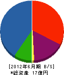 大島応用 貸借対照表 2012年6月期 大島応用 貸借対照表 2012年6月期