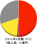 東京情報システム 損益計算書 2012年9月期 東京情報システム 損益計算書 2012年9月期
