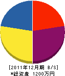 荒井建築 貸借対照表 2011年12月期 荒井建築 貸借対照表 2011年12月期