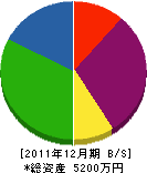 堀口電工 貸借対照表 2011年12月期 堀口電工 貸借対照表 2011年12月期