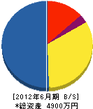 モッチ技研 貸借対照表 2012年6月期 モッチ技研 貸借対照表 2012年6月期