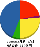 新日本造機 貸借対照表 2009年3月期 新日本造機 貸借対照表 2009年3月期