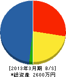 D-パワーシステムズ 貸借対照表 2013年3月期 D-パワーシステムズ 貸借対照表 2013年3月期