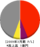 ワラガイ技建 損益計算書 2009年3月期 ワラガイ技建 損益計算書 2009年3月期