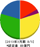 ブリッジ・エンジニアリング 貸借対照表 2013年3月期 ブリッジ・エンジニアリング 貸借対照表 2013年3月期