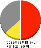 CLAP 損益計算書 2012年12月期 CLAP 損益計算書 2012年12月期