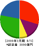 ユニチカ 貸借対照表 2008年3月期 ユニチカ 貸借対照表 2008年3月期