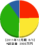 市平電気商会 貸借対照表 2011年12月期 市平電気商会 貸借対照表 2011年12月期