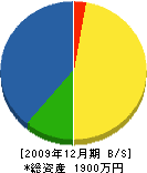 前根建設 貸借対照表 2009年12月期 前根建設 貸借対照表 2009年12月期