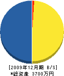 宮本組 貸借対照表 2009年12月期 宮本組 貸借対照表 2009年12月期