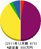 野口塗装店 貸借対照表 2011年12月期 野口塗装店 貸借対照表 2011年12月期