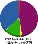 松野建材店 貸借対照表 2011年6月期 松野建材店 貸借対照表 2011年6月期
