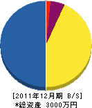 坂本建築 貸借対照表 2011年12月期 坂本建築 貸借対照表 2011年12月期