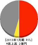 ケンエイテック 損益計算書 2013年1月期 ケンエイテック 損益計算書 2013年1月期