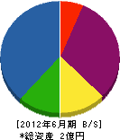 G.C.SINKO 貸借対照表 2012年6月期 G.C.SINKO 貸借対照表 2012年6月期