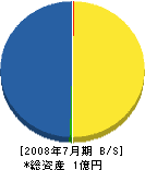 白鳥造園 貸借対照表 2008年7月期 白鳥造園 貸借対照表 2008年7月期