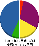 山昭 貸借対照表 2011年10月期 山昭 貸借対照表 2011年10月期
