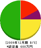 福島土建 貸借対照表 2009年12月期 福島土建 貸借対照表 2009年12月期