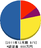新井設備 貸借対照表 2011年12月期 新井設備 貸借対照表 2011年12月期
