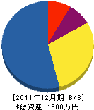 辻技建工業 貸借対照表 2011年12月期 辻技建工業 貸借対照表 2011年12月期