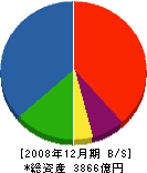 ツネイシホールディングス 貸借対照表 2008年12月期 ツネイシホールディングス 貸借対照表 2008年12月期