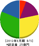 ダイケンテクノ 貸借対照表 2012年6月期 ダイケンテクノ 貸借対照表 2012年6月期