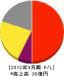 PGSホーム 損益計算書 2012年9月期 PGSホーム 損益計算書 2012年9月期