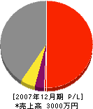 拓神塗装 損益計算書 2007年12月期 拓神塗装 損益計算書 2007年12月期