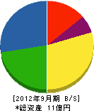 亀井エンジニアリング 貸借対照表 2012年9月期 亀井エンジニアリング 貸借対照表 2012年9月期