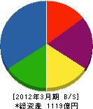 新電元工業 貸借対照表 2012年3月期 新電元工業 貸借対照表 2012年3月期