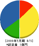 三和電機商会 貸借対照表 2008年5月期 三和電機商会 貸借対照表 2008年5月期