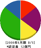大創建設 貸借対照表 2008年6月期 大創建設 貸借対照表 2008年6月期