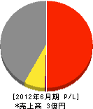 ショウユウ建工 損益計算書 2012年6月期 ショウユウ建工 損益計算書 2012年6月期