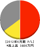槌屋実業 損益計算書 2012年6月期 槌屋実業 損益計算書 2012年6月期