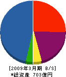 スルガコーポレーション 貸借対照表 2009年3月期 スルガコーポレーション 貸借対照表 2009年3月期