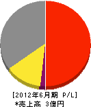 ケイディーエル 損益計算書 2012年6月期 ケイディーエル 損益計算書 2012年6月期