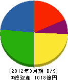積水化成品工業 貸借対照表 2012年3月期 積水化成品工業 貸借対照表 2012年3月期