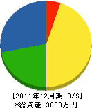 田中石材店 貸借対照表 2011年12月期 田中石材店 貸借対照表 2011年12月期