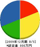 不破商店 貸借対照表 2009年12月期 不破商店 貸借対照表 2009年12月期