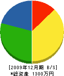 庭舎MAKIOKA 貸借対照表 2009年12月期 庭舎MAKIOKA 貸借対照表 2009年12月期