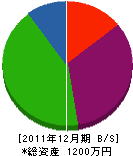 嶋田庭樹園 貸借対照表 2011年12月期 嶋田庭樹園 貸借対照表 2011年12月期