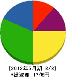 奥山化工業 貸借対照表 2012年5月期 奥山化工業 貸借対照表 2012年5月期