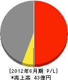 イワサ・アンド・エムズ 損益計算書 2012年6月期 イワサ・アンド・エムズ 損益計算書 2012年6月期