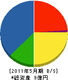 堤組 貸借対照表 2011年5月期 堤組 貸借対照表 2011年5月期