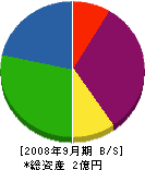 丸實佐藤板金 貸借対照表 2008年9月期 丸實佐藤板金 貸借対照表 2008年9月期